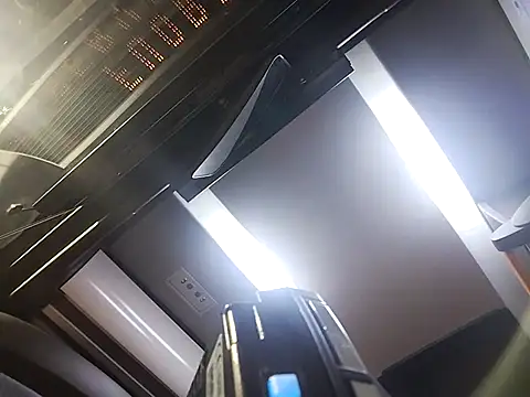 Necroforo online show from 03/19/26, 09:08