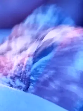 Snapshot of sertaonegro chatting on 11/14/25, 11:13 sertaonegro online show from 11/14/25, 11:13