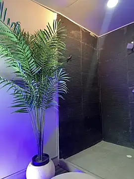 Tayler Kim online show from 04/10/26, 06:56