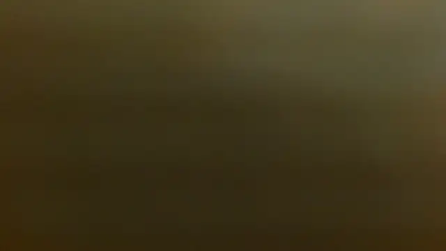 criss zuri online show from 12/02/25, 12:21