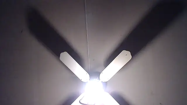 BiglovelyXXL online show from 04/13/26, 08:36