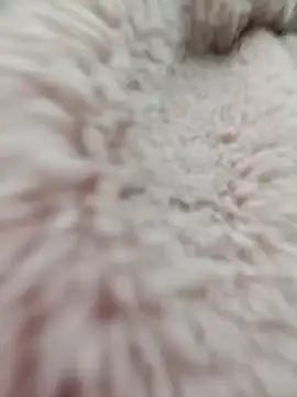 Tin tanny online show from 01/15/26, 12:59