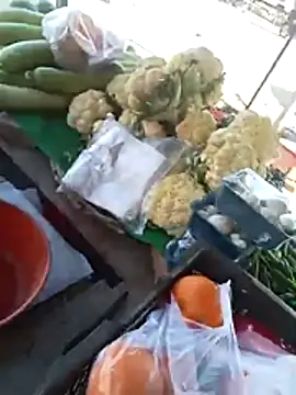 playboy31top online show from 02/08/26, 09:23