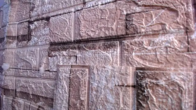 Bicky 24 online show from 03/02/26, 07:59