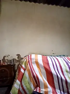 average price online show from 11/12/25, 04:13