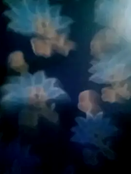 your favourite bhabhi online show from 11/02/25, 01:46