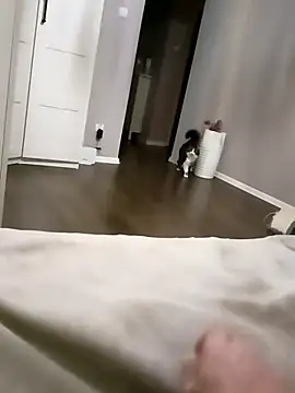 NiceBadgera online show from 10/10/25, 06:40