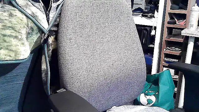 georgew62 online show from 09/20/25, 11:50