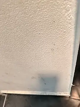 penchis90 online show from 12/14/25, 02:22