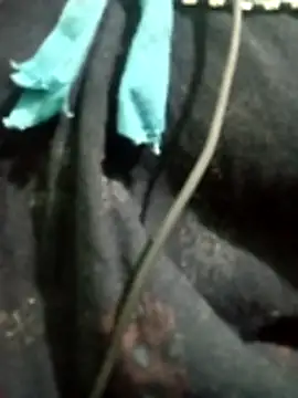 Telugu hot cpl online show from 12/16/25, 05:51