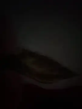 Flash356 online show from 02/24/26, 09:13