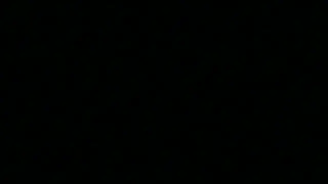 Pyrelissa online show from 12/04/25, 06:34