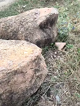 Ag punam online show from 11/16/25, 10:43