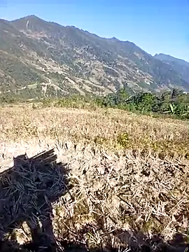 kemtuoi-sex online show from 11/30/25, 03:32