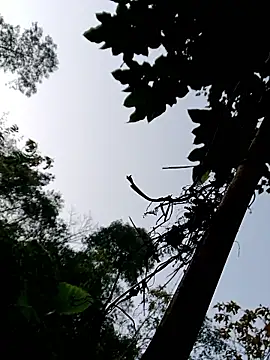 kemtuoi-sex online show from 01/11/26, 11:54