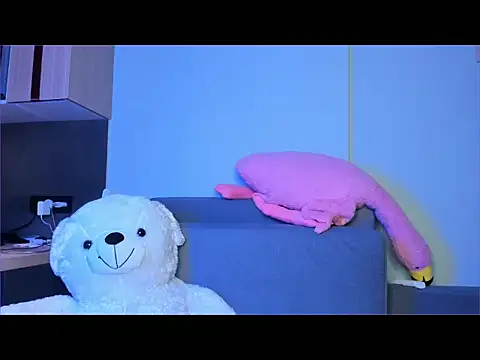 tokipokki online show from 01/13/26, 11:32