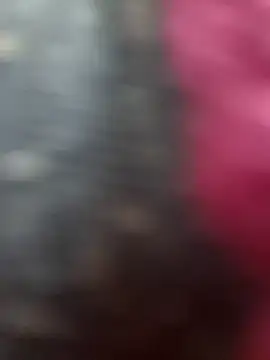 susan mooree online show from 11/14/25, 06:39