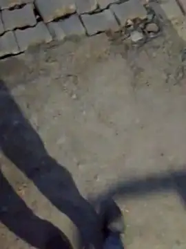 haryanaboypanipat12 online show from 03/17/26, 01:25