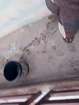 haryanaboypanipat12 online show from 04/03/26, 12:52