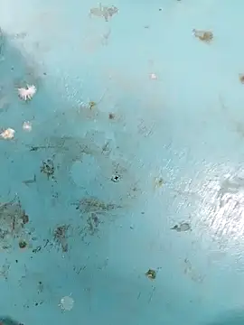 haryanaboypanipat12 online show from 04/09/26, 07:25