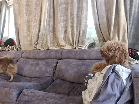 Alexis21821 online show from 12/03/25, 07:05