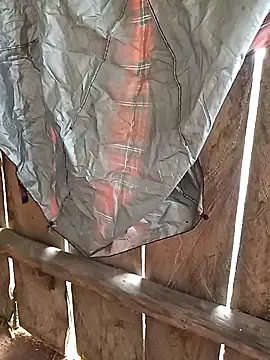 bonnie-00 online show from 11/04/25, 03:16