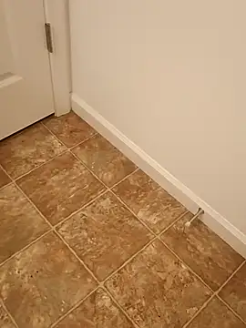 Snapshot of Dotado901@xh chatting on 04/13/26, 03:23 Dotado901xh online show from 04/13/26, 03:23