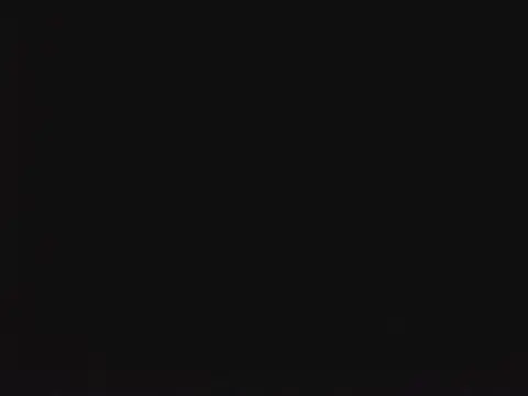 SienaWild online show from 01/13/26, 10:04