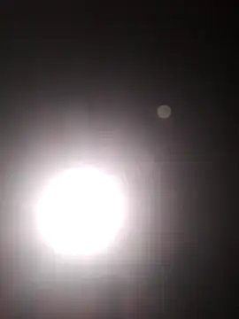 Cachorrinha2025 online show from 10/22/25, 05:45