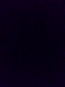 Cachorrinha2025 online show from 11/21/25, 02:05