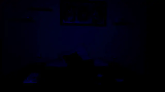 jordan mm420 online show from 06/12/26, 04:11