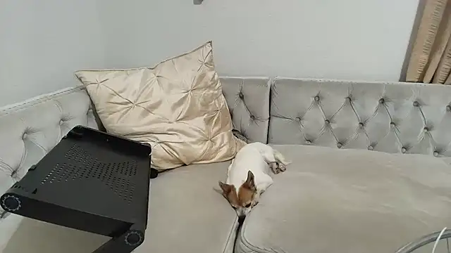 BarbieKarly online show from 12/01/25, 01:21