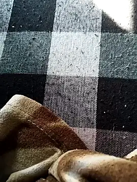 bold guy 1234 online show from 11/24/25, 04:56