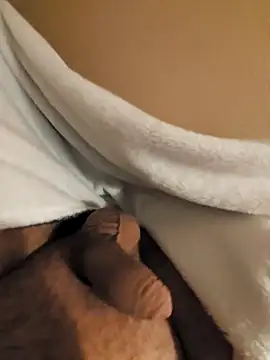 Snapshot of verjaya chatting on 11/15/25, 10:26 verjaya online show from 11/15/25, 10:26