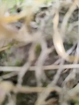 karandeep Bhagat online show from 03/26/26, 10:43