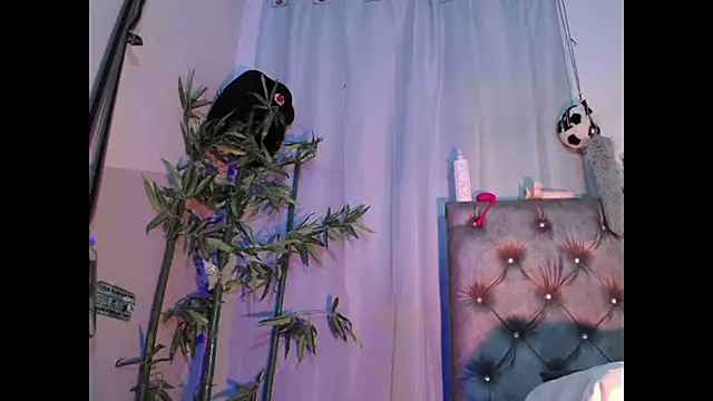 Jamadoll66 online show from 03/17/26, 10:35