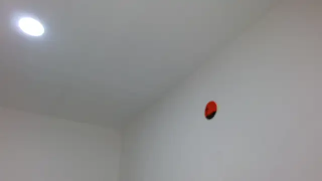 jaico santos online show from 02/16/26, 11:12