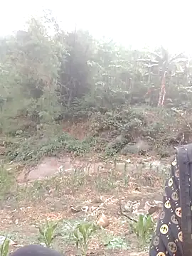 donna-bae online show from 04/12/26, 10:09