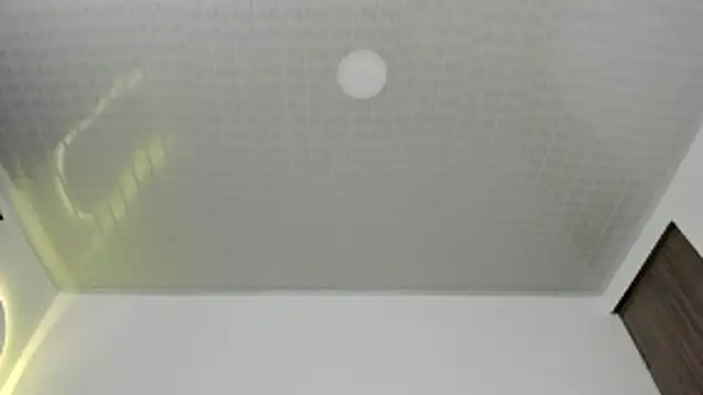 brandy h9 online show from 01/17/26, 03:11