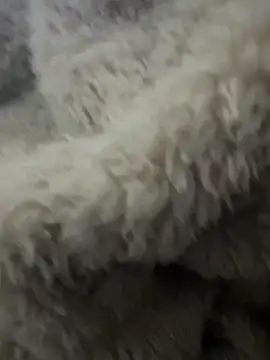 futsam653 online show from 11/12/25, 09:21