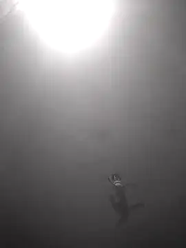 Hott cutgirl online show from 10/16/25, 12:33