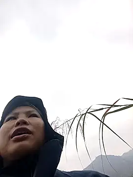 callistra online show from 12/17/25, 06:52