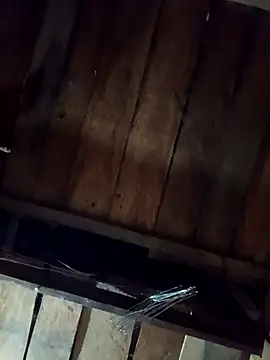 callistra online show from 04/11/26, 02:10