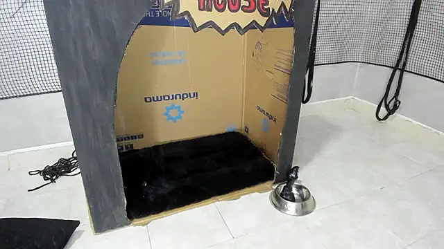 BDSM MEDUZA online show from 02/13/26, 03:24