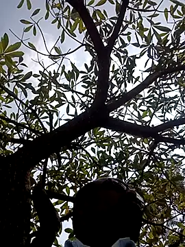 ipvk online show from 03/02/26, 07:15