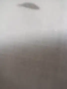 ipvk online show from 03/05/26, 12:34