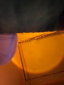 Tramy xx online show from 01/06/26, 03:21