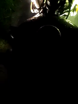 DICKLANKA online show from 04/15/26, 02:13