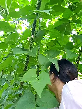 diamond-- online show from 10/05/25, 12:31