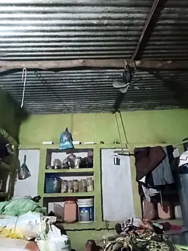 Haliya88 online show from 10/06/25, 06:49